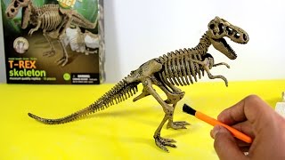 T-Rex Skeleton - Dinosaur excavation kit  | Esqueleto Tiranosaurio Rex de juguete para excavar - 4/7