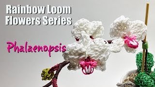 Rainbow Loom Flowers Series: Phalaenopsis (Butterfly Orchid)
