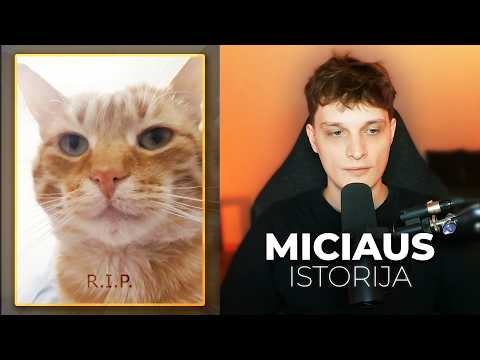 MICIAUS ISTORIJA + naujas katukas