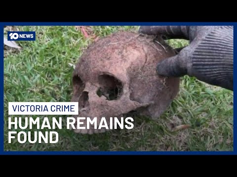 Human Remains Found By Plumbers On Phillip Island | 10 News
