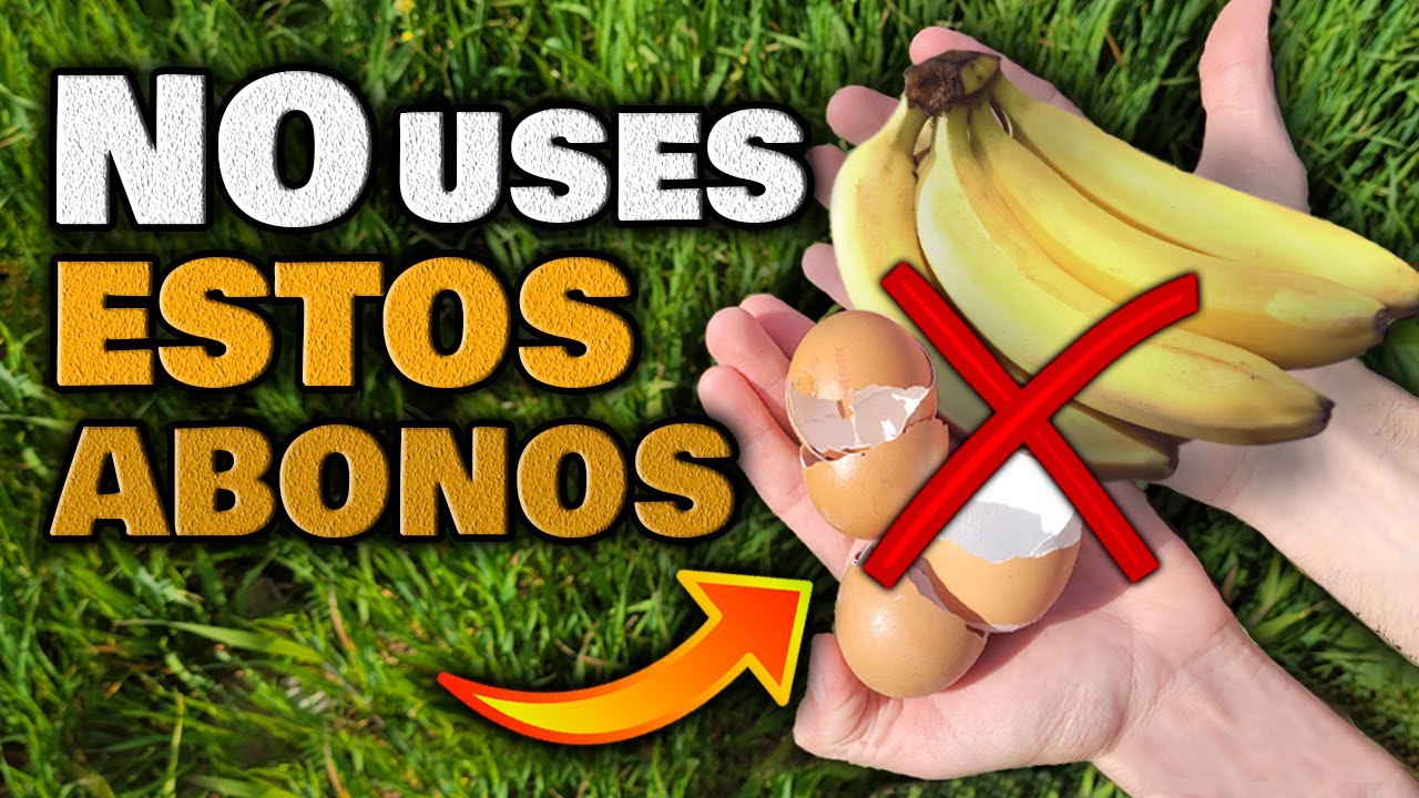 NO USES MÁS Pieles de PLÁTANO y Cáscaras de HUEVO sin SABER ESTO!! Fertilizante Abono CASERO Plantas