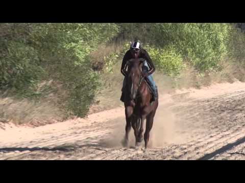 Klawervlei Gallops 25 Feb 2015 Mr Bond