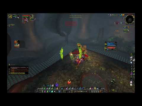 Unstoppable Resto Druid & Arms Warrior 2v2 Arena – WotLK 3.3.5 🔥