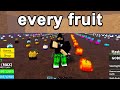 I Rolled 1,000 Fruits in Blox Fruits!