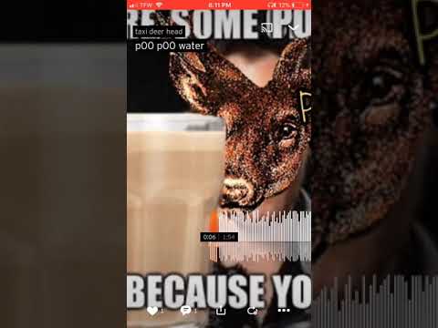 p00 p00 water (Official Audio)