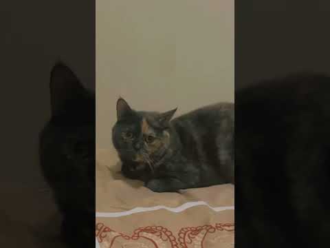 Luka مقلقة مني 🙄