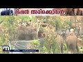 Ari Komban Sad WhatsApp Status
