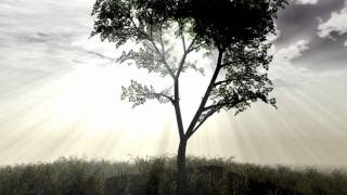 Brian Culbertson - Going Home