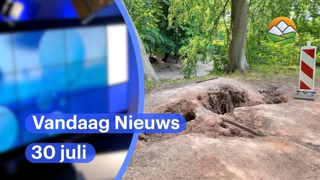 Vandaag Nieuws: Valkenburgse VVD slaat alarm over gevaarlijke boom