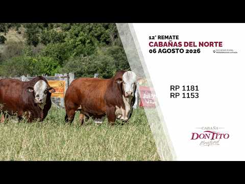 3 DON TITO RP 1181 RP 1153   CABAÑAS DEL NORTE 2026
