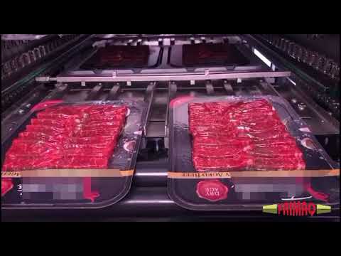 Frimaq Model TSA-826 Automatic Tray Sealing Machine