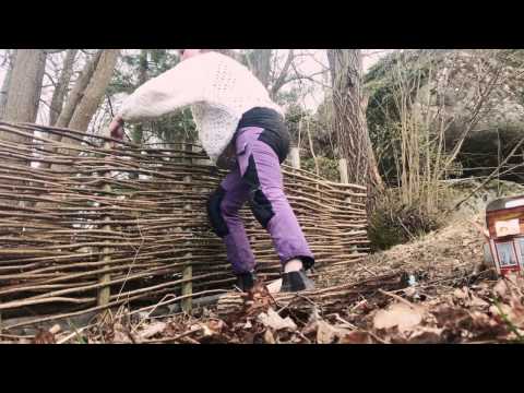 Idag odlar jag svamp utomhus och bygger ett slystaket i Odlingsdagboken