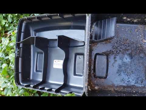 Bugging an Ant Colony in Freehold, NJ