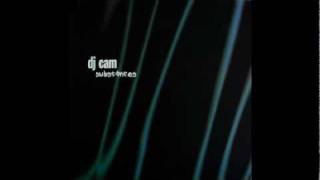 Dj Cam - Lost Kindom [substances].avi