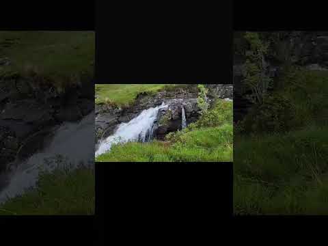 Lauren Karcher - Nature Trails - Misc Originals