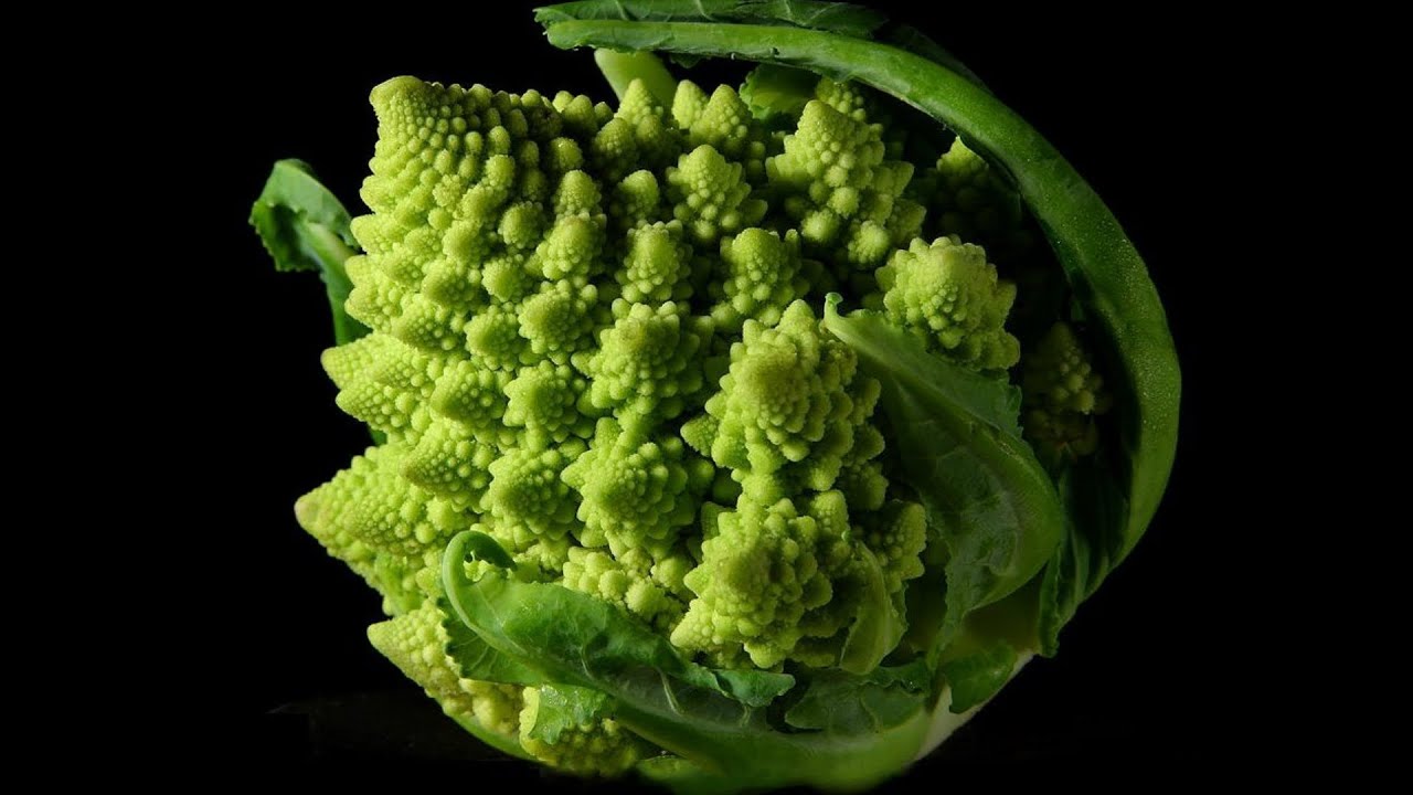 Butterflies, Chaos and Fractals - Professor Raymond Flood