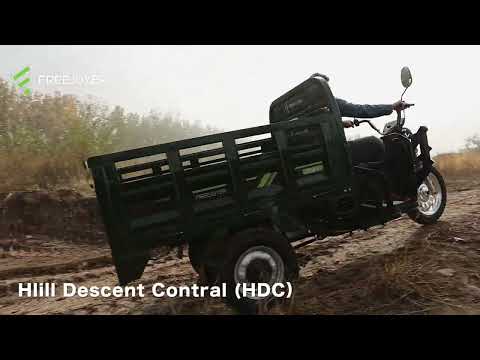 Can This 3-Wheel Electric Cargo Trike Replace Small Trucks?