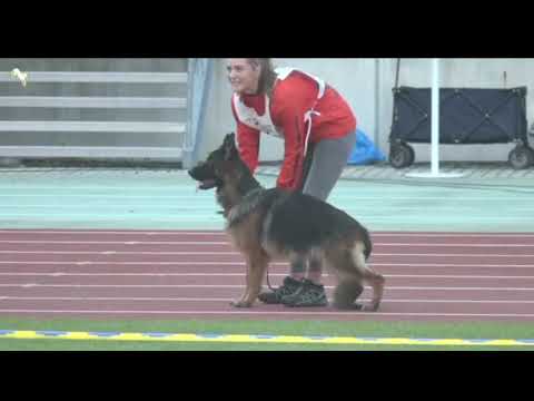 #bszs2022 - VA - Zet vom Napte Emmer Eck - Progeny Group