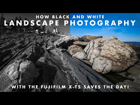 How Black and White Photography with the X-T5 Saved the Day when Shooting Landscapes on a Sunny Day