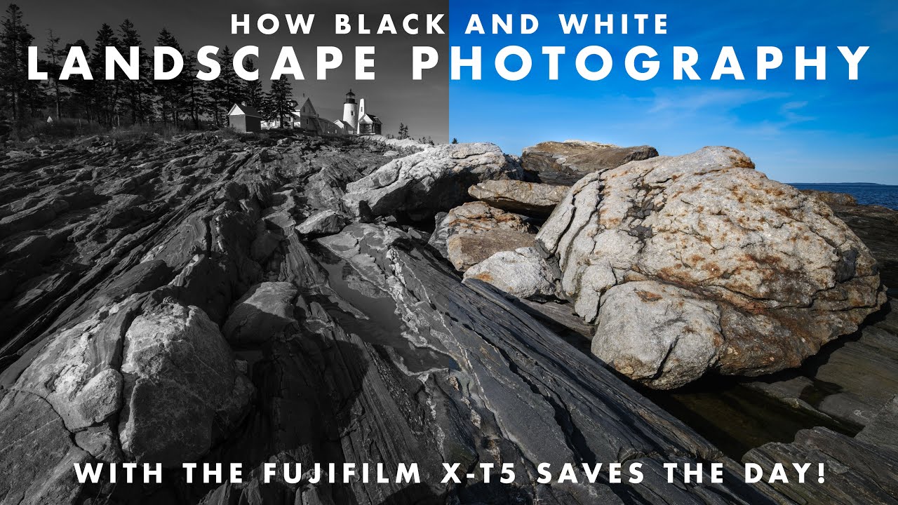 How Black and White Photography with the X-T5 Saved the Day when Shooting Landscapes on a Sunny Day