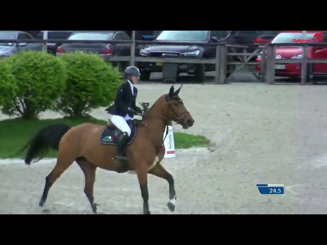 Related to Kintoucha Hero - 1m60 showjumper