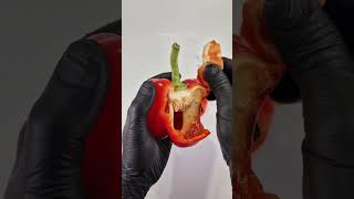 Reverse bell pepper