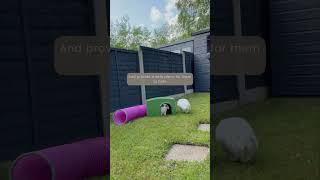 Keeping your Rabbits Safe in the Garden | Indoor Rabbits | Pet Care | Summer | Bunny Safety
