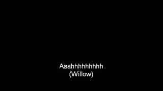 Paul McCartney Little Willow Lyrics