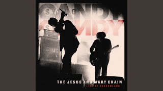 Sowing Seeds (Live)