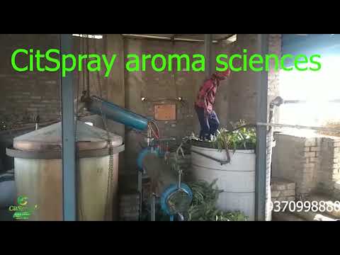 Natural Essential Vitamin E Oil