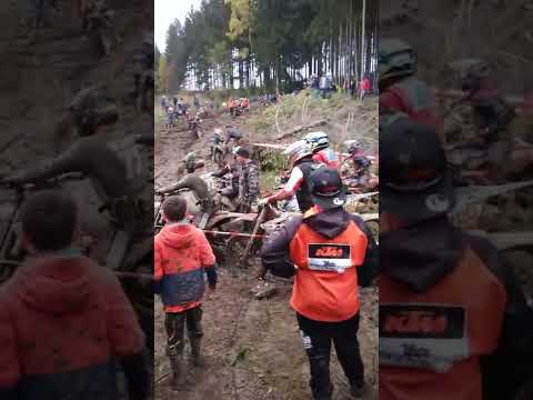 Rund um zschopau 2022