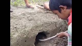 Les enfants préparent des oeufs cuits durs sans eau et sans huile. (#021)