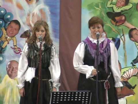 Ansambel Mira Klinca - Mladost (v živo)
