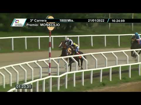220121 c03 - JAPPELOUP - HIPODROMO LAS PIEDRAS