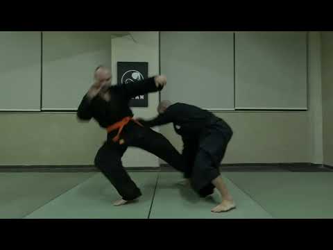 Elbow combination entry and Kibisu gaeshi