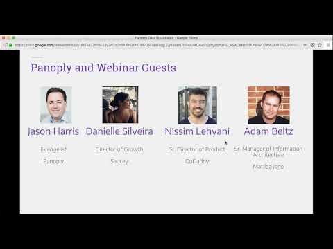 Revealing Data Insider Secrets with an Expert Panel