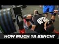 Bench Press Calculator - Find Out How Much You Bench