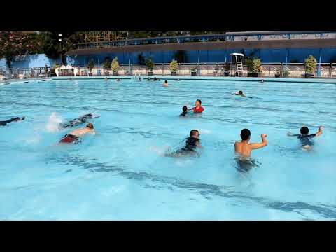 Program Berenang Sekolah QQ Mitra Ananda