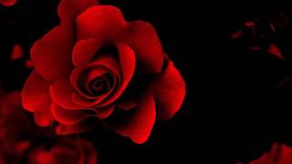 Enchantment~ "  Forever More " ❤️♫ 1978