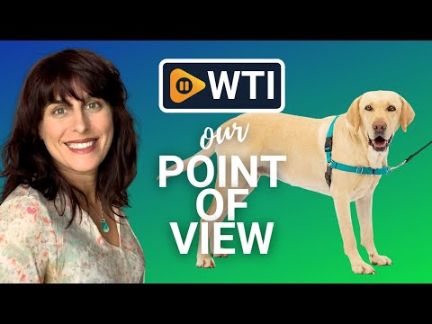 PetSafe Easy Walk No-Pull Dog Harness - WTI product video review