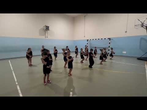 la. serietà. quando  devono. fare. paso. doble