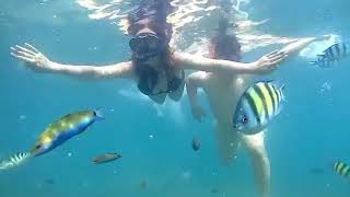 Download lagu Snorkling bareng Novi Sasmita mp3