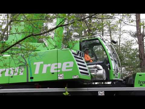 Iron Tree Service: A Cut Above the Rest