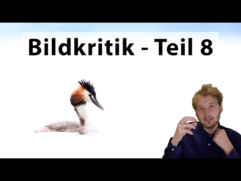 Bildkritik Teil 8 - Ich gebe Feedback zu euren Fotos