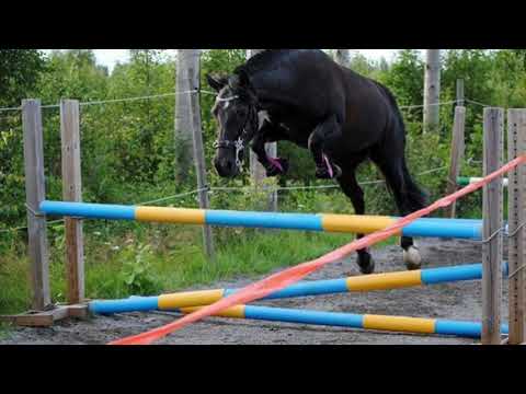 Rip Exellent noa💔 goodbye My friend...