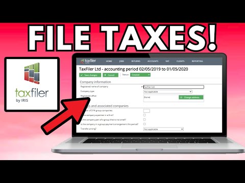 How To File Taxes For the First Time 2024