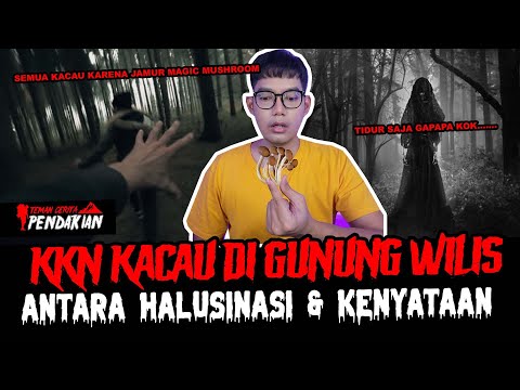 KKN DI GUNUNG WILIS MAKAN JAMUR PALING DIL4RANG - TC