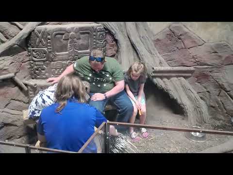 Feeding a Porcupine at Sea Quest(2)