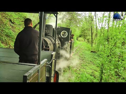 Călătorie Abrud-Câmpeni Train Ride cu/with Mocănița 762.209 CFI Steam Loco - 01 May 2019