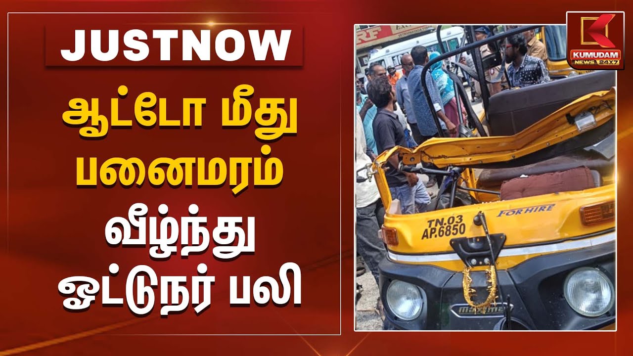 ஆட்டோ மீது பனைமரம் வீழ்ந்து ஓட்டுநர் பலி  | Auto Accident | Kumudam News